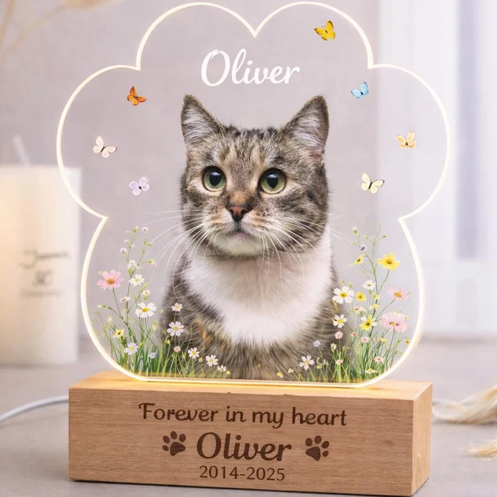 Custom Rainbow Bridge Pet Memo - Lighting Decor Woodbridge 리뷰 및 가격
