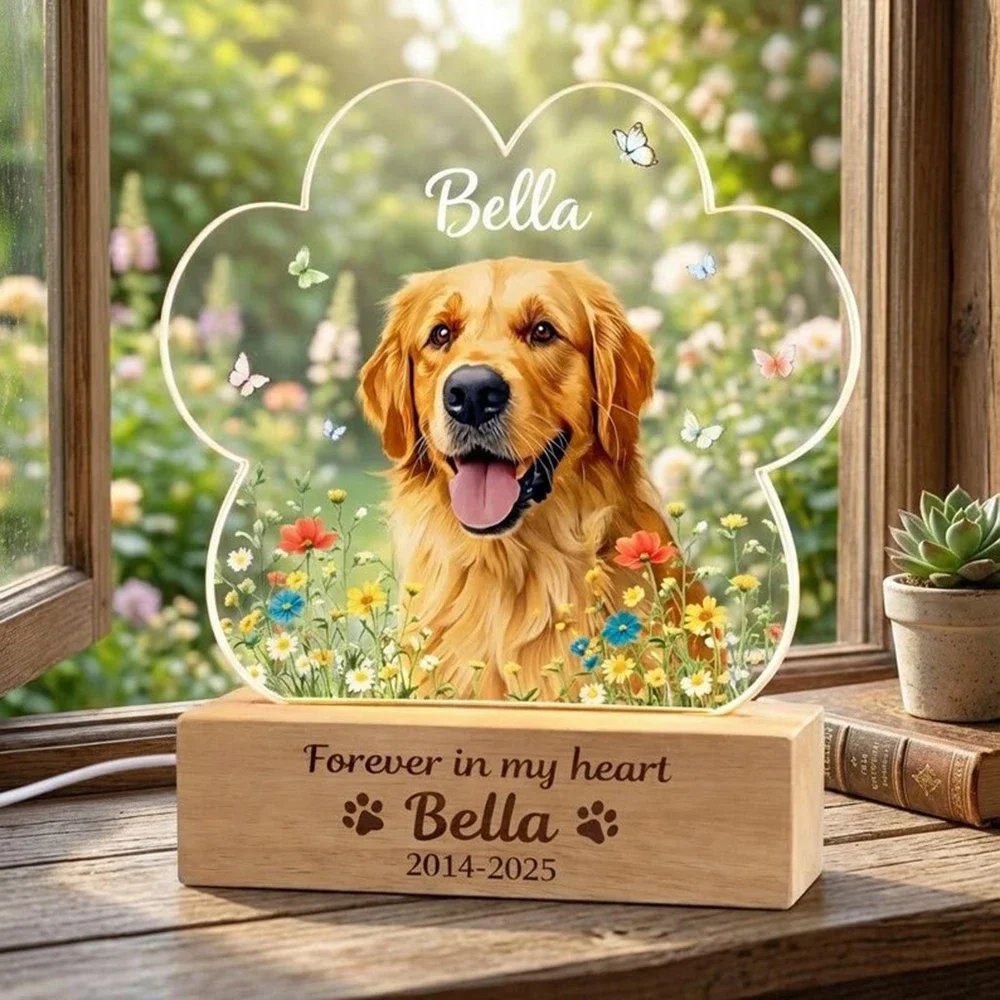 Custom Rainbow Bridge Pet Memo - Lighting Decor Woodbridge 리뷰 및 가격