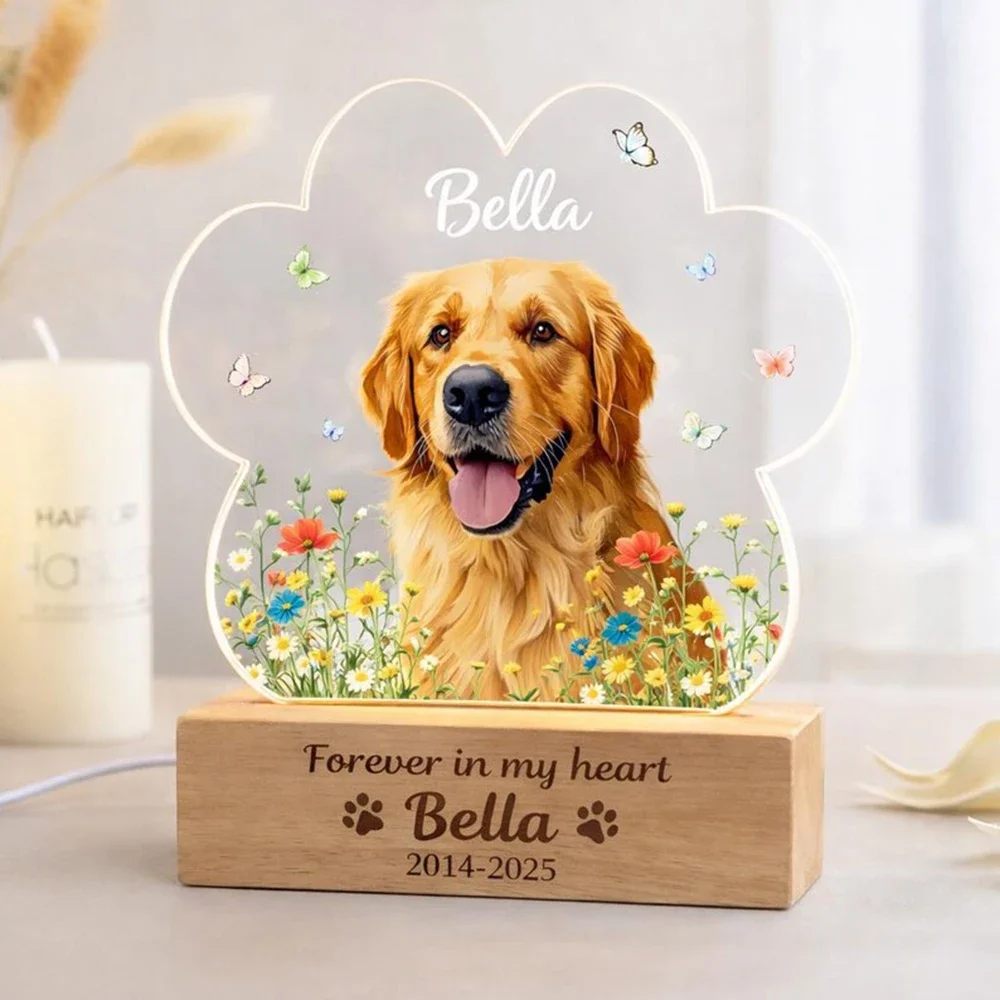 Custom Rainbow Bridge Pet Memo - Lighting Decor Woodbridge 리뷰 및 가격