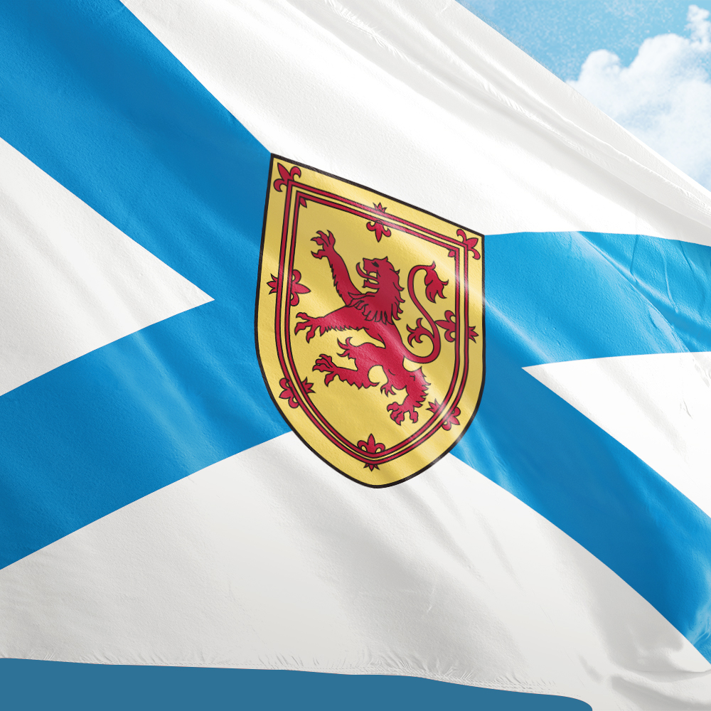 Canada Flag of Nova Scotia 3ft - Nova Decor & Lighting Julestjerne 리뷰 및 가격