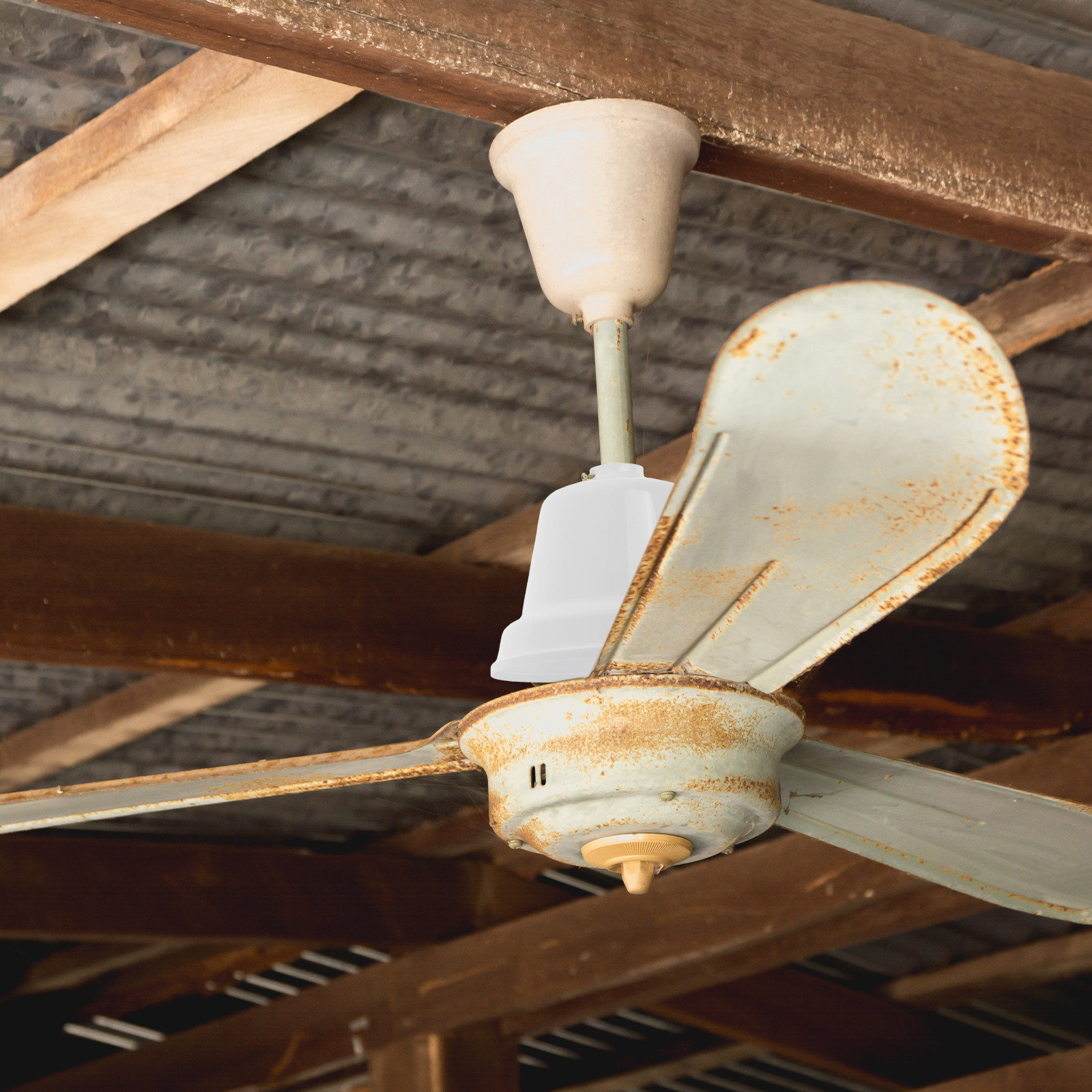 Ceiling Fan Dust Cover Large P - Decor Lighting Fans 리뷰 및 가격